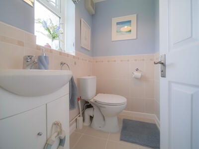 Picture 7